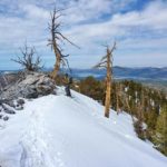 California Mountain Rentals Basecamp Cabin 28